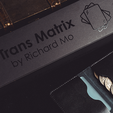 Transparent Matrix (Half Dollar) 2024 by Richard Mo